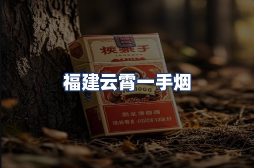 福建云霄一手烟